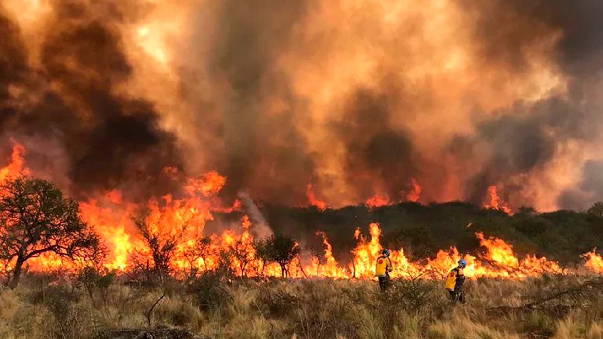 Incendios En C Rdoba Detienen A Un Hombre Que Prend A Fuego