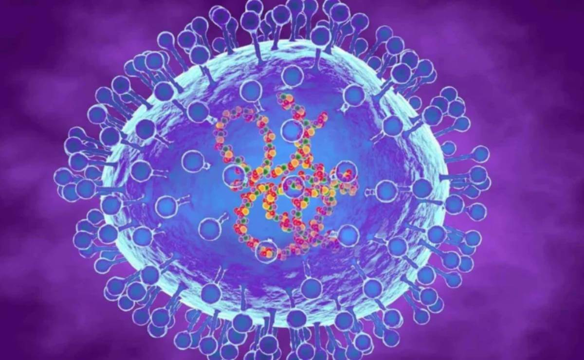 Metapneumovirus Humano Qu Es Y C Mo Se Contagia El Virus