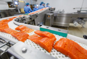 Producción salmón