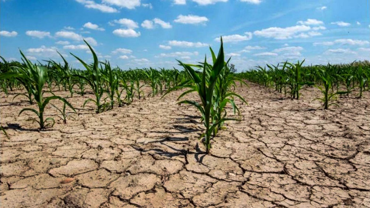 Sequía producción argentina