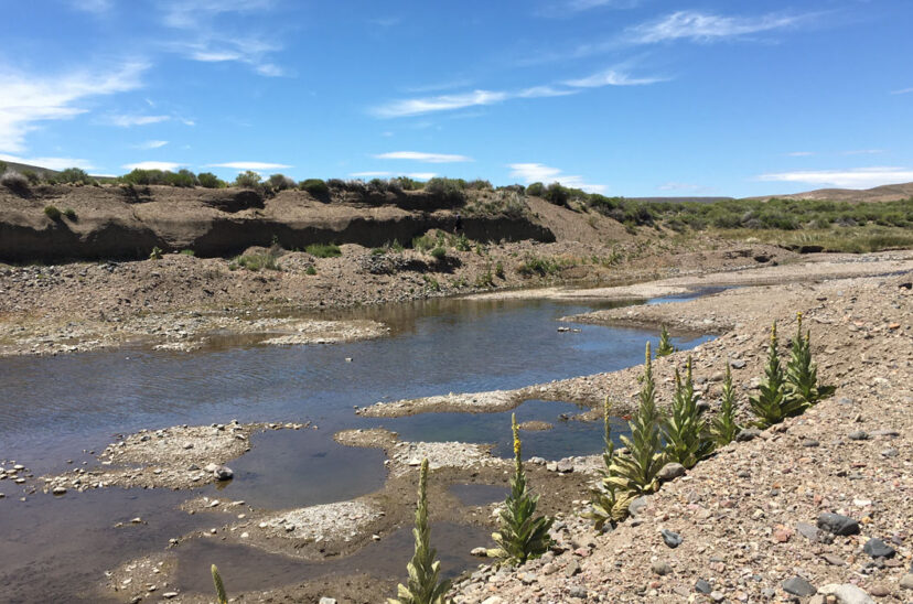 Río Colorado Sequía