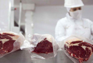 carne argentina exportación