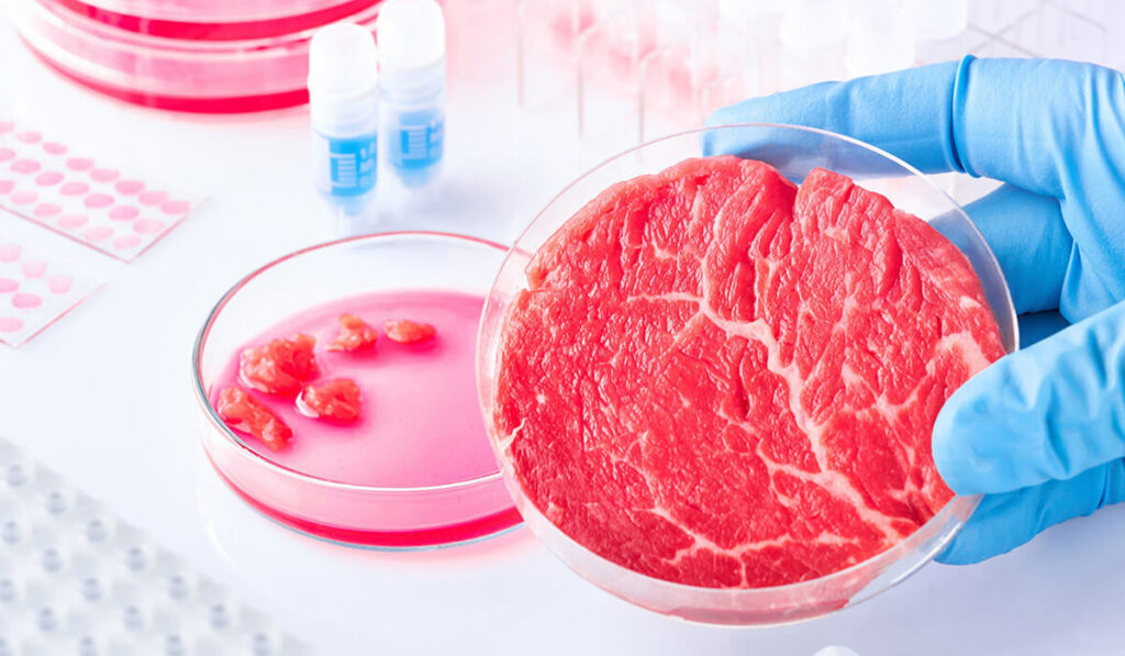 Carne sintética cultivada en laboratorio