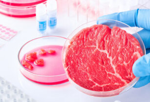 Carne sintética cultivada en laboratorio
