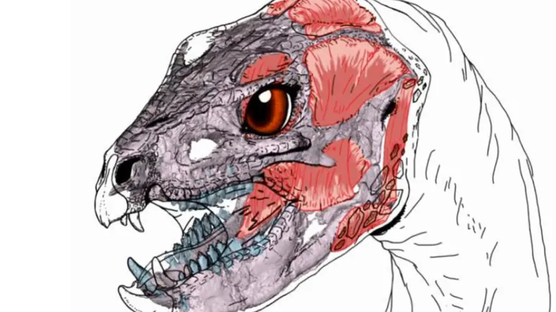 dinosaurio patagónico
