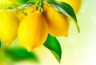 limones economías regionales