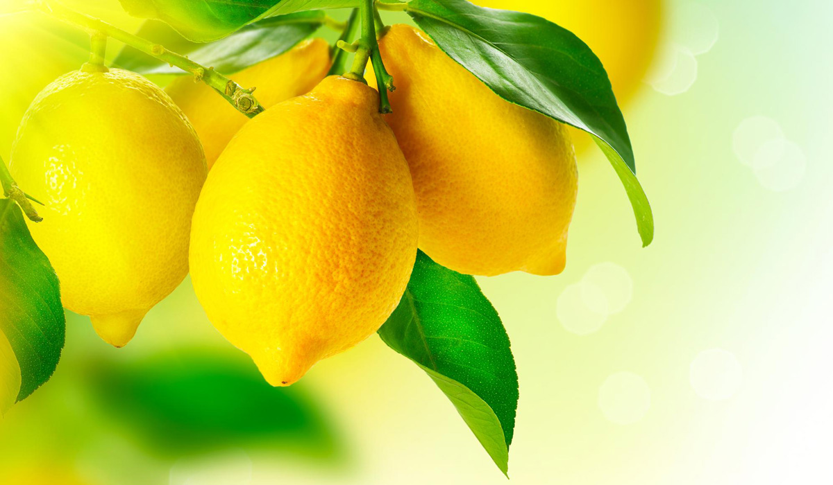 limones economías regionales