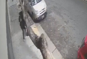 mujer accidente con el árbol