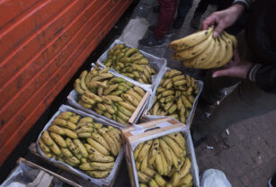 Bananas cocaína secuestraron