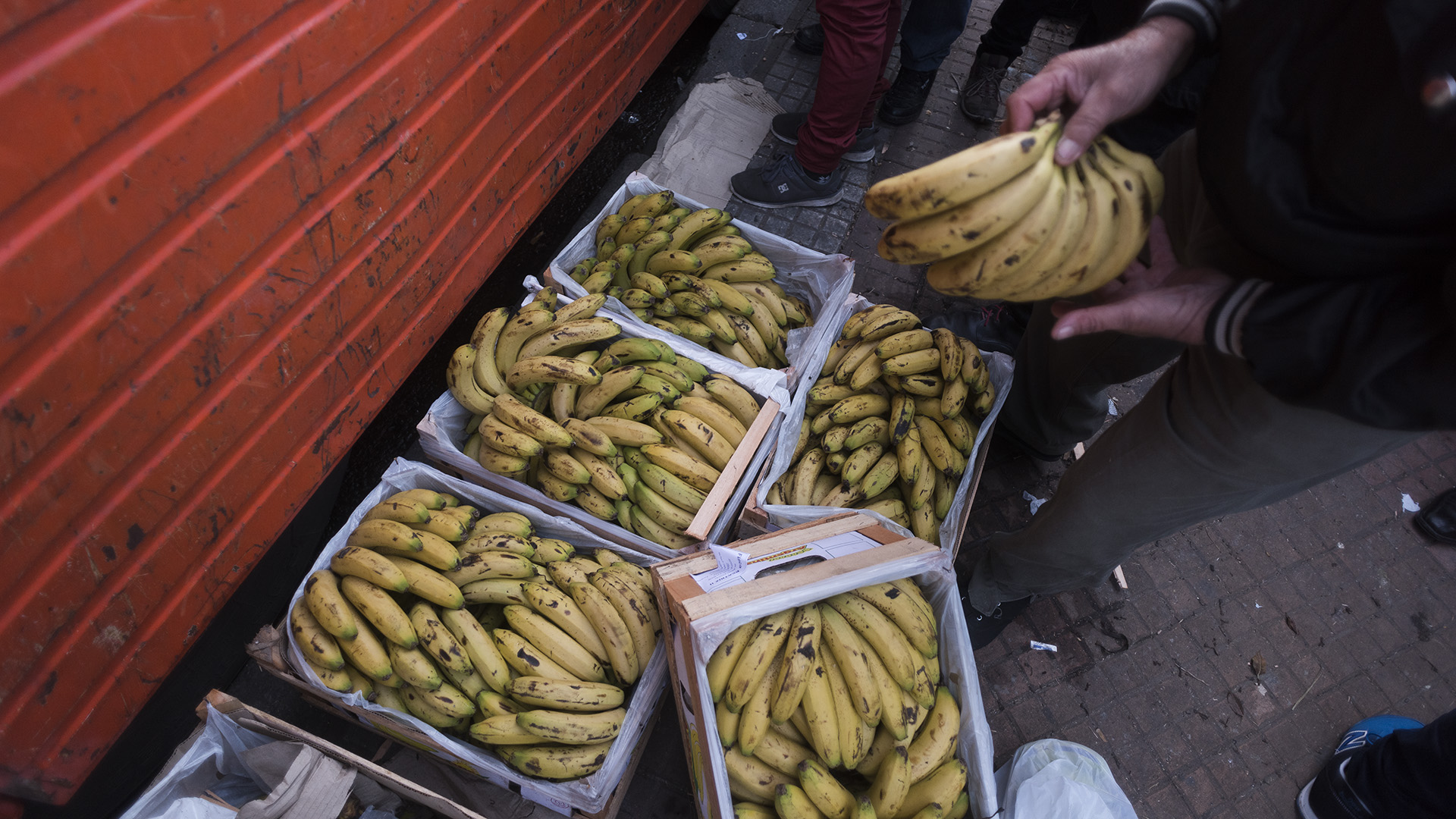 Bananas cocaína secuestraron