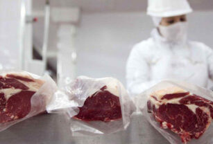 carne vacuna exportación