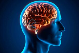 Cerebro humano - descubrimientos sobre el alzheimer