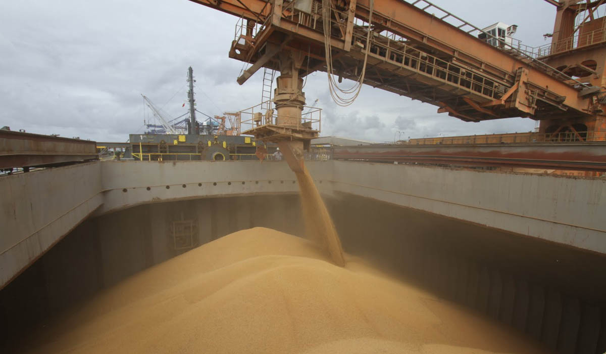 exportaciones granos balanza comercial agroexportaciones exportaciones del agro cerealero-oleaginoso cereales y oleaginosas operaciones y ventas superávit comercial