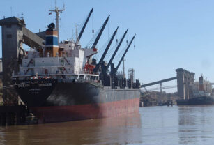gran rosario puerto exportaciones Recuperación. trigo argentina