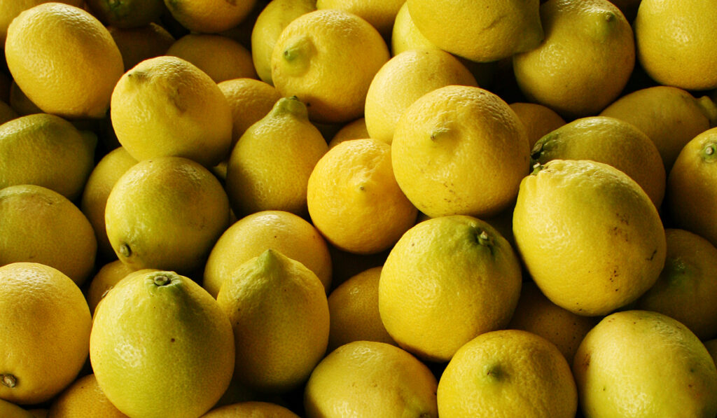 limones orgánicos