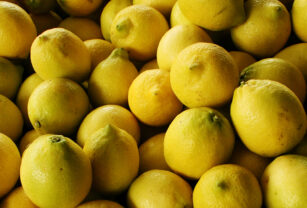 limones orgánicos economías regionales