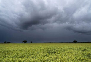 lluvias trigo "El Niño" macroeconomía suelos lluvias para el agro zona núcleo regiones