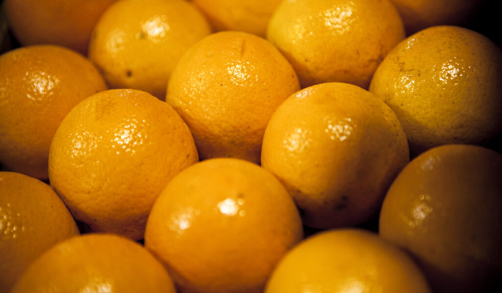 naranjas orgánicos