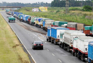 transporte de granos cargas autotransporte