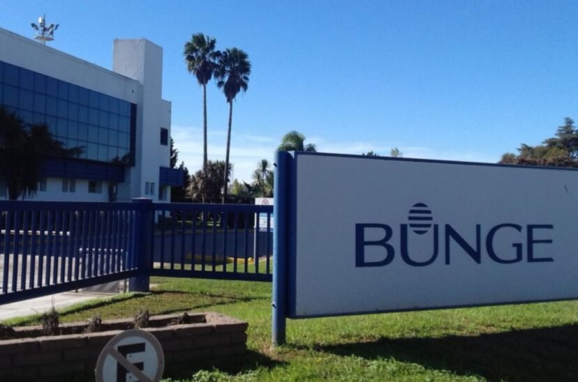 bunge