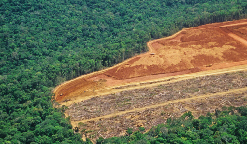 deforestación amazonas brasil 2022