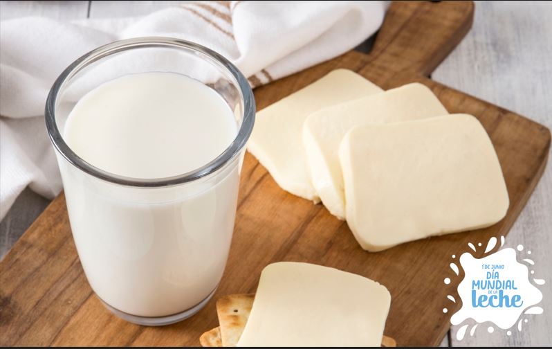lácteos nutrientes queso leche