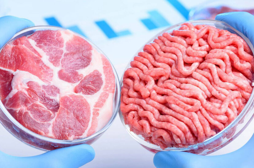 carne cultivada laboratorio