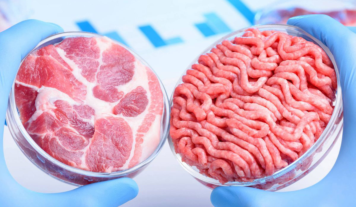 carne cultivada laboratorio