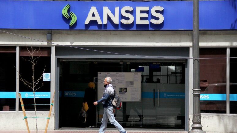 ANSES - refuerzo