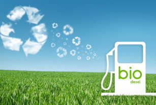 biodiesel argentino bioetanol y biodiésel