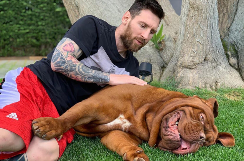 Messi Hulk perro