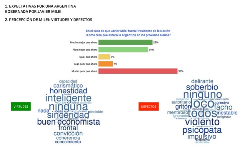 Captura del informe del Observatorio de Psicología Social Aplicada sobre virtudes y defectos de Milei.