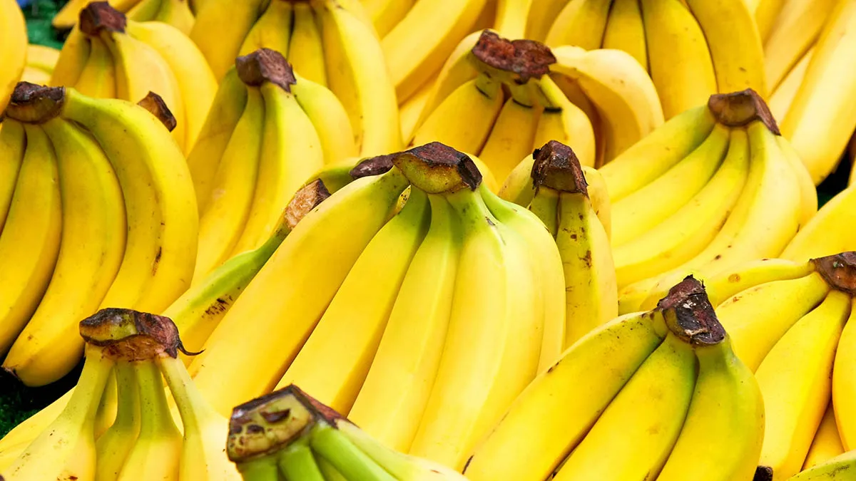 precio banana