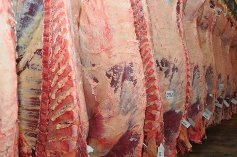 producción carne vacuna frigorífico Estatus Sanitario Nacional