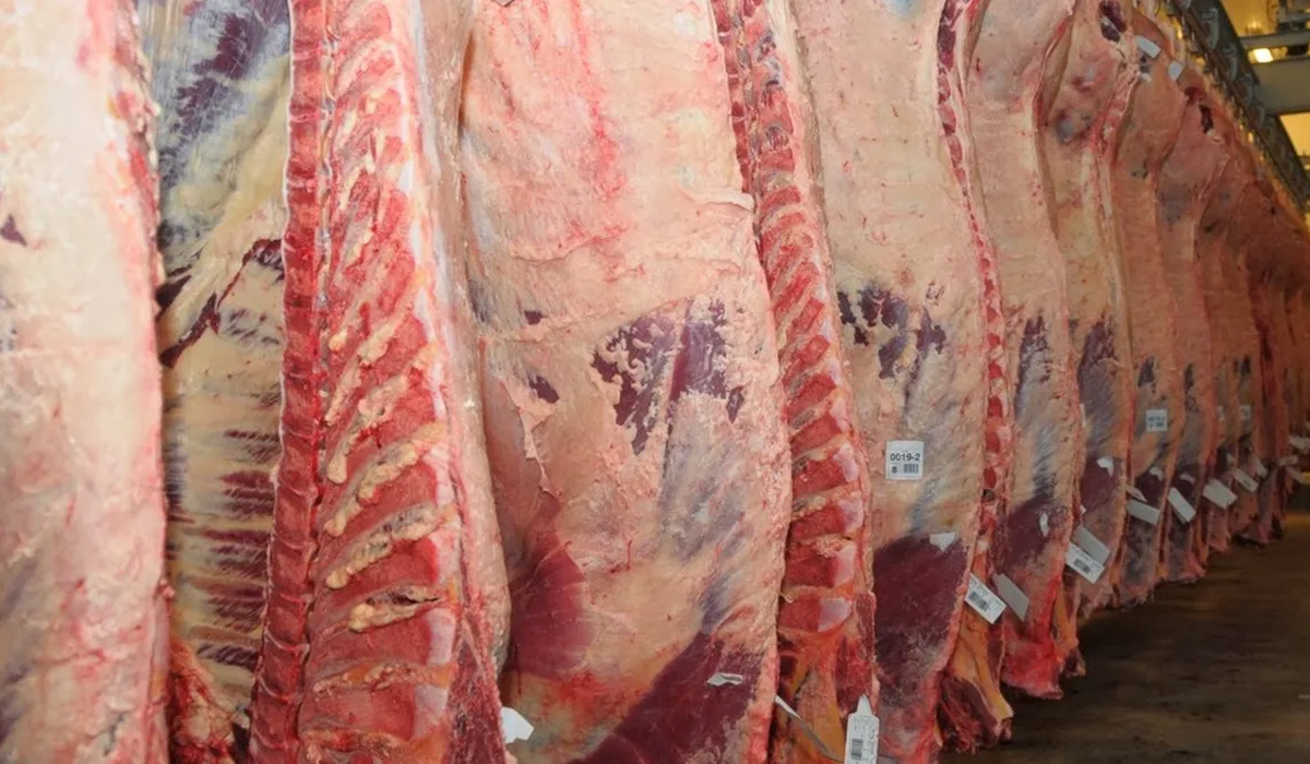 producción carne vacuna frigorífico Estatus Sanitario Nacional
