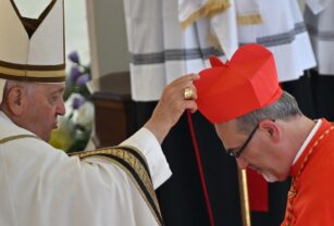 cardenal