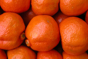 cítricos dulces mandarina