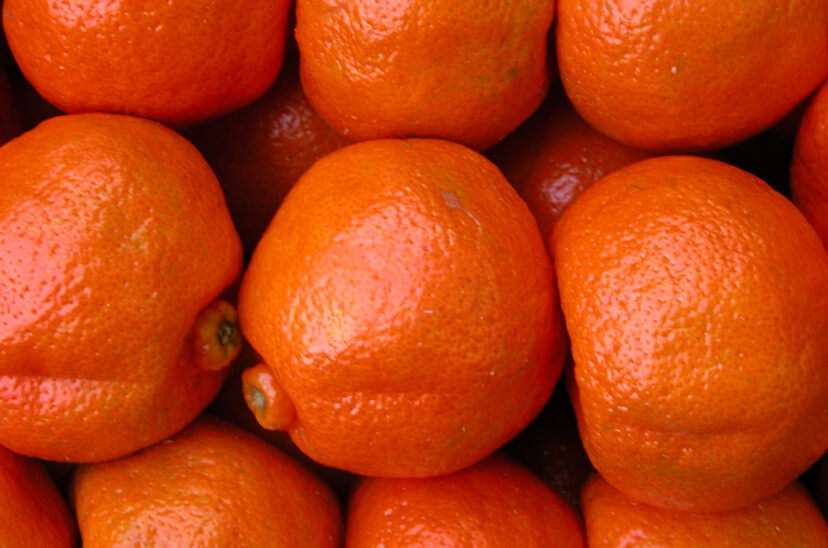 cítricos dulces mandarina
