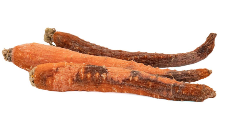 zanahorias blandas