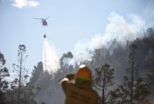 Incendio forestal en Los Alerces, Chubut