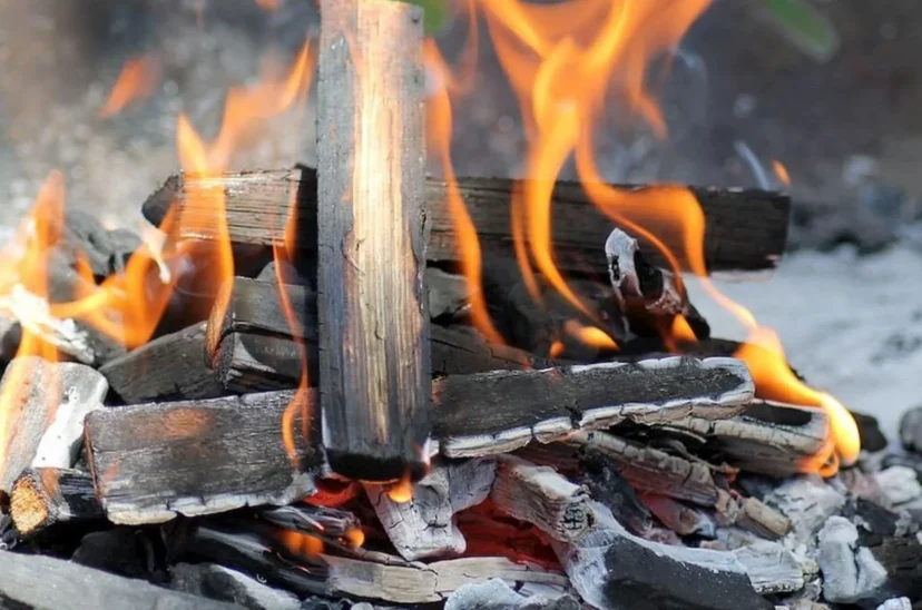 parrilla leña