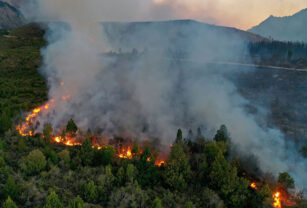 Incendio forestal en El Bolsón - Ley Ómnibus