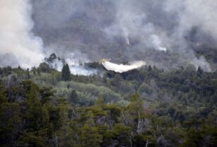 Incendio en el Parque Nacional Los Alerces. (Télam).