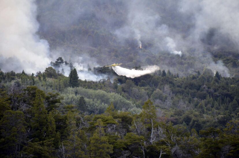 Incendio en el Parque Nacional Los Alerces. (Télam).
