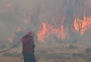 Brigadista combate el incendio en el Parque Nacional Los Alerces.
