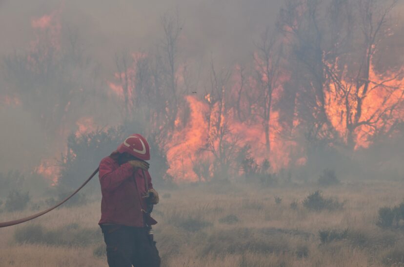 Brigadista combate el incendio en el Parque Nacional Los Alerces.