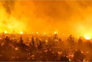 Incendios Chile - Temperatura de la Tierra