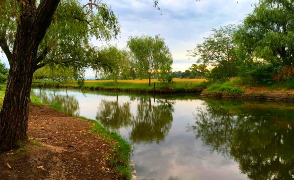 Pueblo San Antoio de Areco