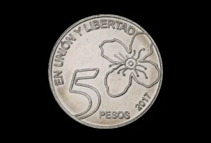 moneda $5