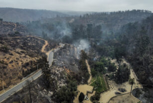 Jardín Botánico afectado por los incendios en Chile.